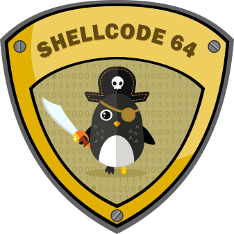 SHELLCODING 64 (1)